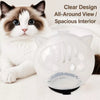 Clear Plastic Cone Collar for Cats