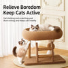 Integrated Cat Scratcher and Resting Bed