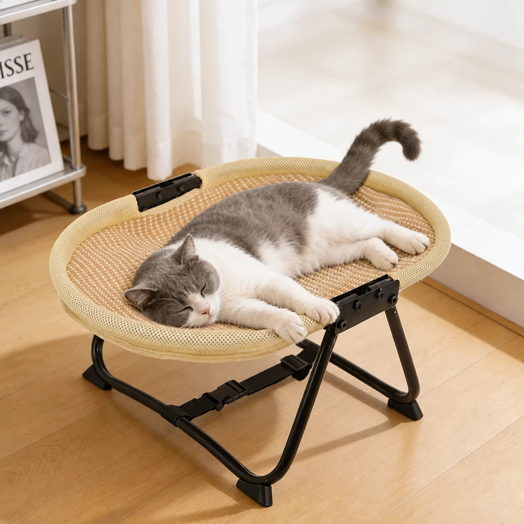 Oval Foldable Elevated Pet Cot for Cats and Dogs