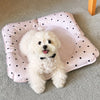 Water-Resistant Nylon Pet Mat