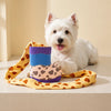 Boot-Shaped Sniffing Toy for Dogs with Crinkle and Squeak Sounds