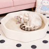 Petal-Shaped Corrugated Cardboard Cat Scratcher