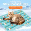 Summer Pet Mat for Dogs and Cats