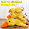 Plush Squeaky Dog Toys in Duck, Football & Pizza Designs