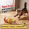 Rechargeable Automatic Cat Toy – Mouse and Toy Car Styles