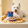 Boot-Shaped Sniffing Toy for Dogs with Crinkle and Squeak Sounds