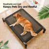 Elevated Mesh Dog Bed with Iron Frame