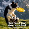 Floating Dog Flying Disc Toy for Fetch and Water Play