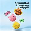 Squeaky Textured Ball Dog Toy
