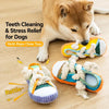 Squeaky Slipper Toy for Small Dogs