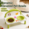 Elevated Ceramic Double Pet Bowls for Cats and Dogs