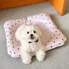 Water-Resistant Nylon Pet Mat