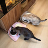 Raised-Edge Pet Bowl Placemat for Cats & Dogs