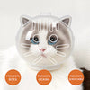 Clear Plastic Cone Collar for Cats