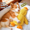 Plush Squeaky Dog Toys in Duck, Football & Pizza Designs