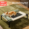Portable Elevated Pet Cot with Removable Cushion