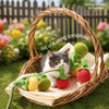 Felt Persimmon Cat Teaser Toy with Bell