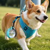 Portable Collapsible Dog Water Bowl for Walks and Travel