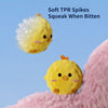 Squeaky Textured Ball Dog Toy