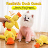 Plush Squeaky Dog Toys in Duck, Football & Pizza Designs