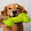 Double-Layer Squeaky Bone Toy for Dogs | FurlyJoy