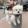 Nylon Pet Sling Carrier for Small Dogs and Cats