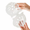 Clear Plastic Cone Collar for Cats
