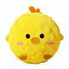 Squeaky Textured Ball Dog Toy