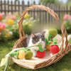 Felt Persimmon Cat Teaser Toy with Bell