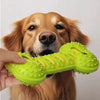 Double-Layer Squeaky Bone Toy for Dogs | FurlyJoy