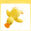 Plush Squeaky Dog Toys in Duck, Football & Pizza Designs